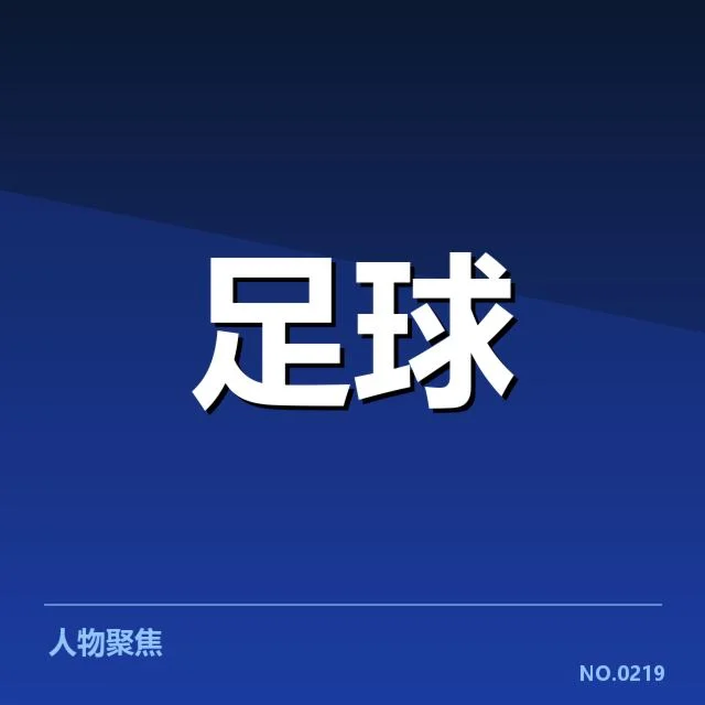已公布的法国杯财政相关数据概览